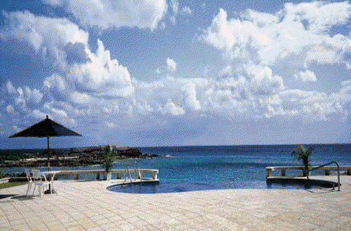 Masters of Design 2005 Animation.gif